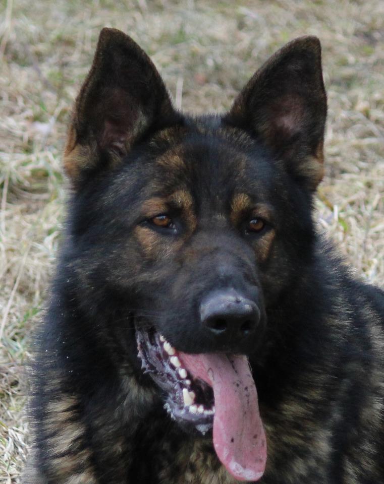 Zoran Stasi 3 y.o.