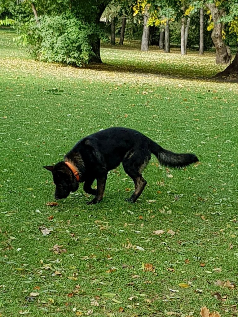 Убер ШТАЗИ, Лондон, Англия