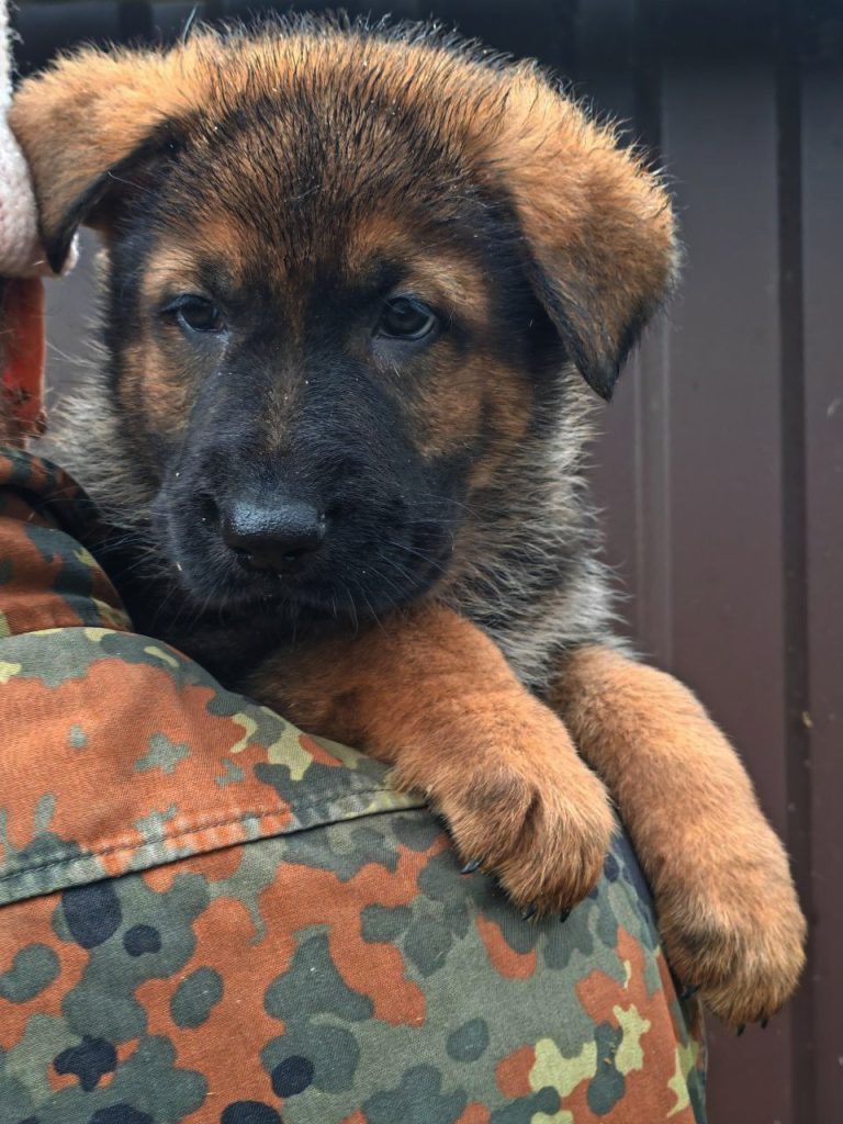 Эверест ШТАЗИ