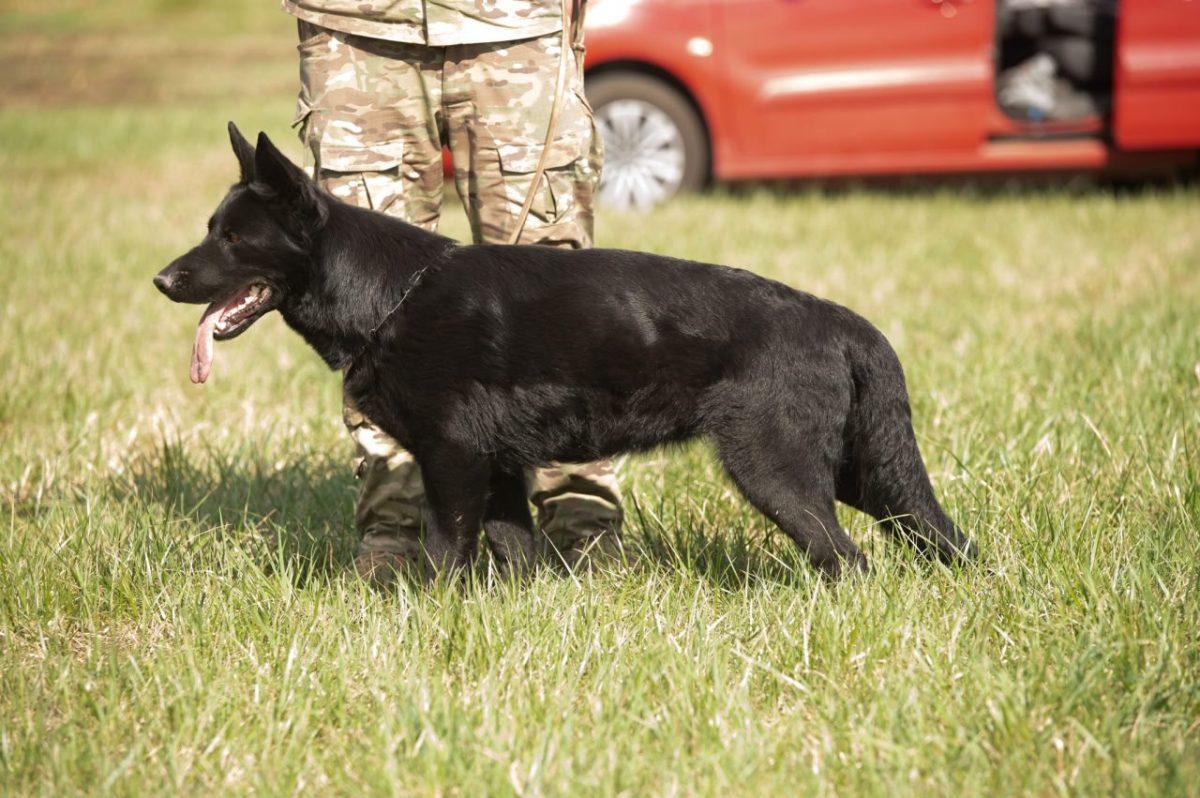 Фергана ШТАЗИ