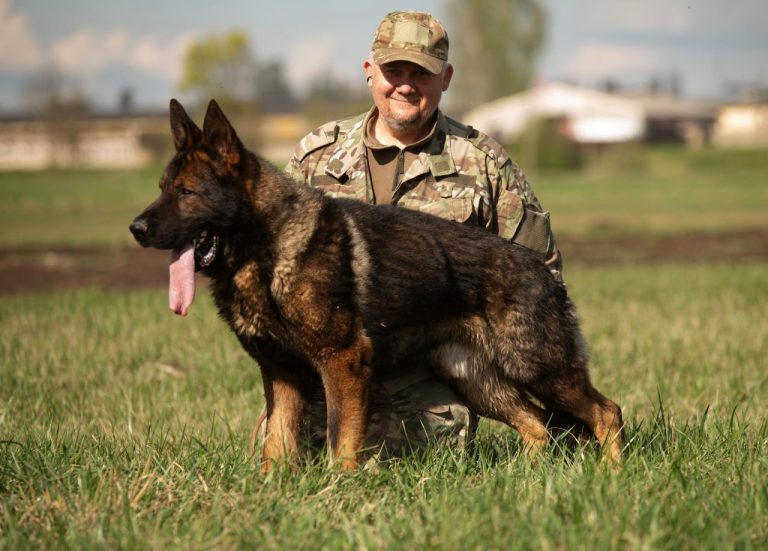 Донбасс ШТАЗИ